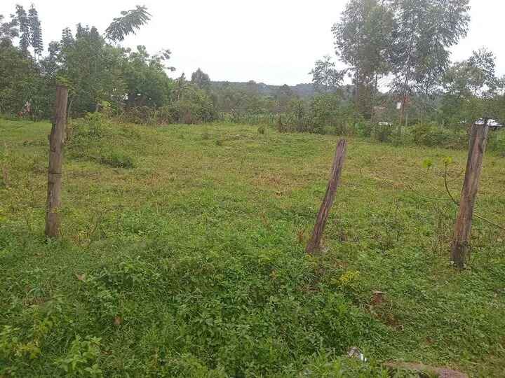 Bungoma Highway Plots